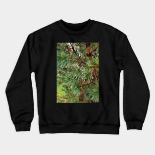 Raindrops on Spruce Needles Crewneck Sweatshirt